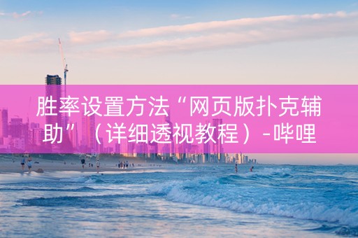 胜率设置方法“网页版扑克辅助”（详细透视教程）-哔哩哔哩