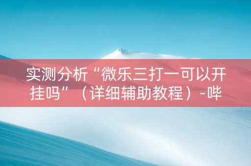 实测分析“微乐三打一可以开挂吗”（详细辅助教程）-哔哩哔哩