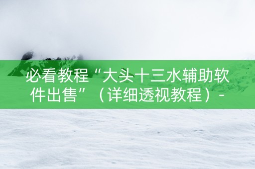 必看教程“大头十三水辅助软件出售”（详细透视教程）-哔哩哔哩