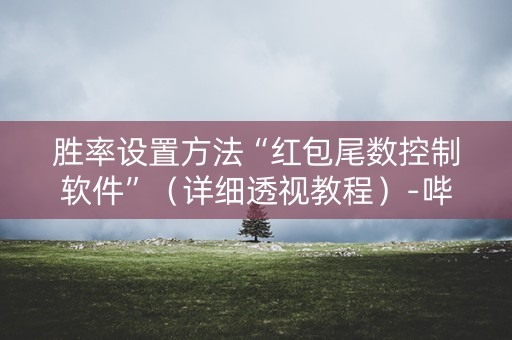 胜率设置方法“红包尾数控制软件”（详细透视教程）-哔哩哔哩