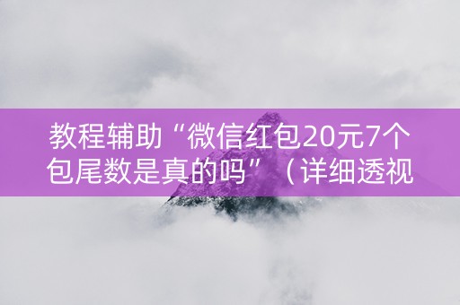 教程辅助“微信红包20元7个包尾数是真的吗”（详细透视教程）-哔哩哔哩