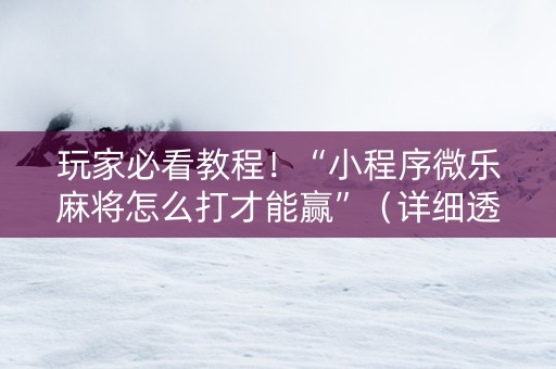 玩家必看教程！“小程序微乐麻将怎么打才能赢”（详细透视教程）-哔哩哔哩