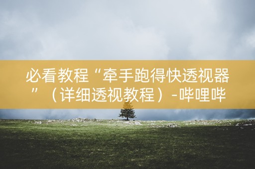 必看教程“牵手跑得快透视器”（详细透视教程）-哔哩哔哩
