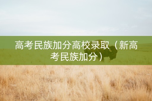 高考民族加分高校录取（新高考民族加分）