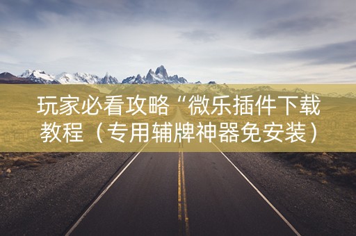 玩家必看攻略“微乐插件下载教程（专用辅牌神器免安装）