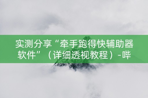 实测分享“牵手跑得快辅助器软件”（详细透视教程）-哔哩哔哩