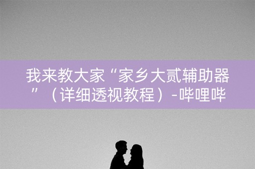我来教大家“家乡大贰辅助器”（详细透视教程）-哔哩哔哩