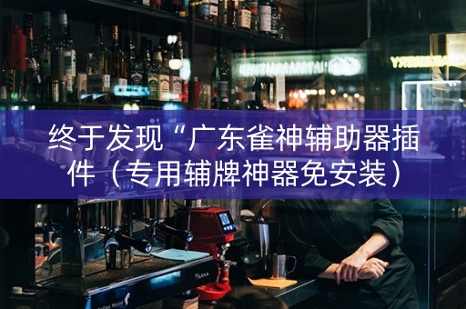 终于发现“广东雀神辅助器插件（专用辅牌神器免安装）