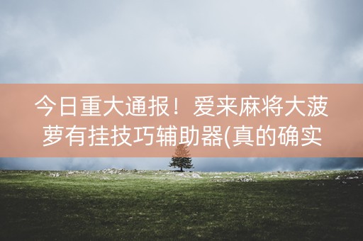 今日重大通报！爱来麻将大菠萝有挂技巧辅助器(真的确实是有挂)