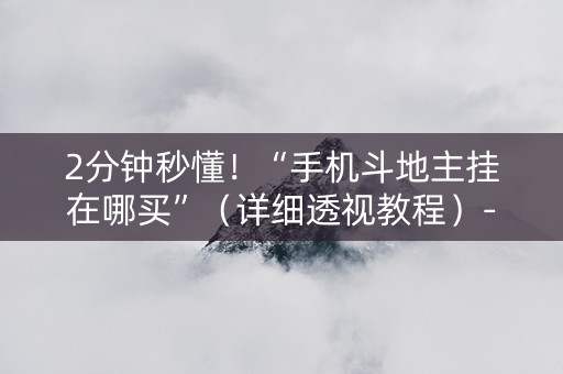 2分钟秒懂！“手机斗地主挂在哪买”（详细透视教程）-哔哩哔哩