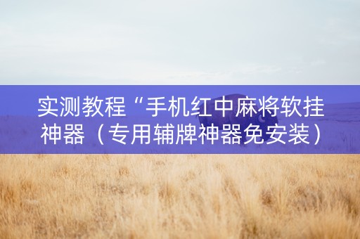 实测教程“手机红中麻将软挂神器（专用辅牌神器免安装）