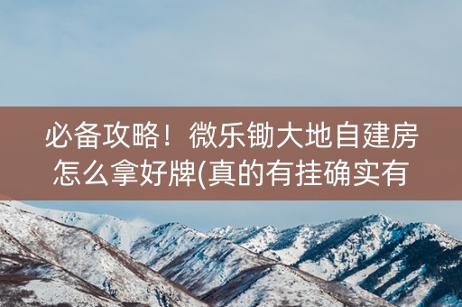 必备攻略！微乐锄大地自建房怎么拿好牌(真的有挂确实有挂)