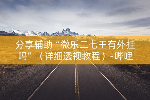 分享辅助“微乐二七王有外挂吗”（详细透视教程）-哔哩哔哩