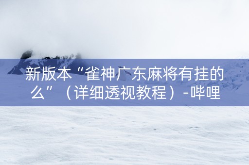 新版本“雀神广东麻将有挂的么”（详细透视教程）-哔哩哔哩
