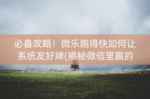 必备攻略！微乐跑得快如何让系统发好牌(揭秘微信里赢的秘诀)