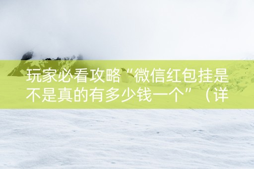 玩家必看攻略“微信红包挂是不是真的有多少钱一个”（详细透视教程）-哔哩哔哩