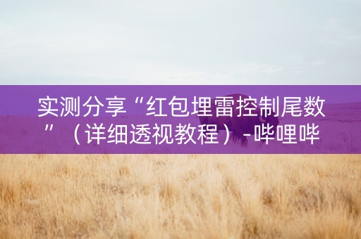 实测分享“红包埋雷控制尾数”（详细透视教程）-哔哩哔哩