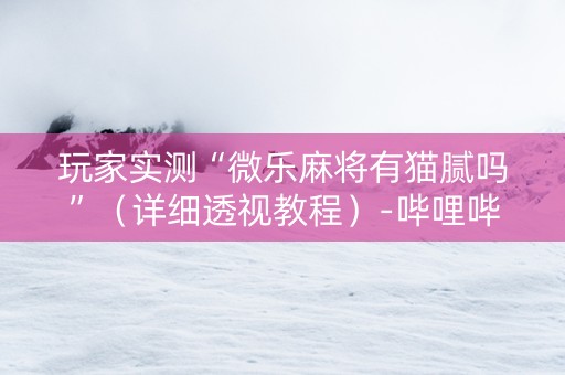 玩家实测“微乐麻将有猫腻吗”（详细透视教程）-哔哩哔哩