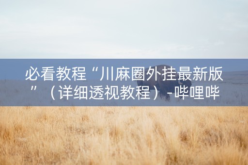 必看教程“川麻圈外挂最新版”（详细透视教程）-哔哩哔哩