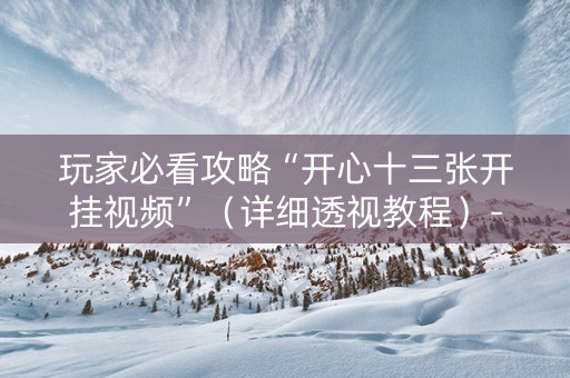 玩家必看攻略“开心十三张开挂视频”（详细透视教程）-哔哩哔哩