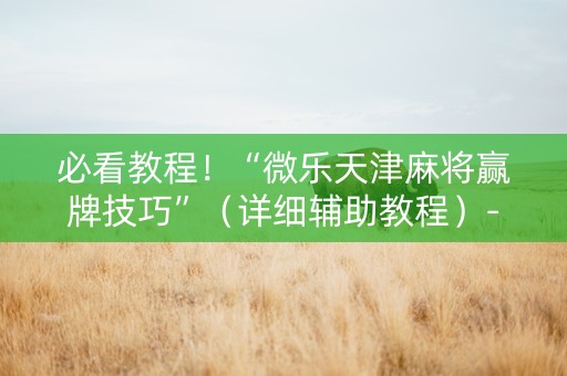 必看教程！“微乐天津麻将赢牌技巧”（详细辅助教程）-哔哩哔哩