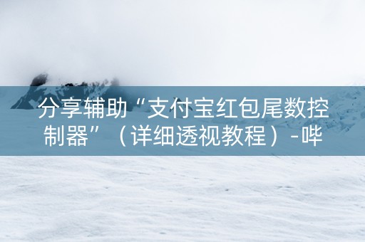 分享辅助“支付宝红包尾数控制器”（详细透视教程）-哔哩哔哩