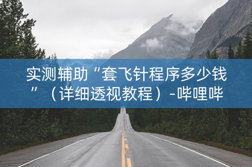 实测辅助“套飞针程序多少钱”（详细透视教程）-哔哩哔哩