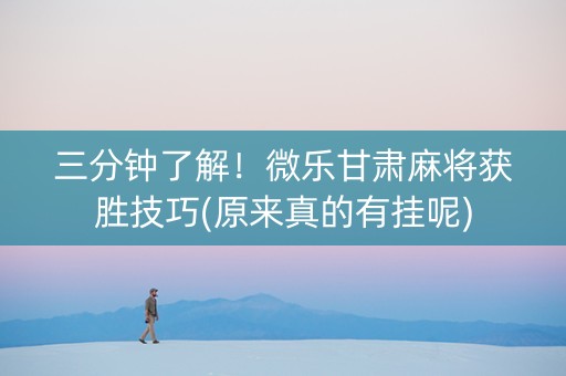 三分钟了解！微乐甘肃麻将获胜技巧(原来真的有挂呢)
