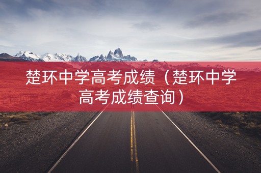 楚环中学高考成绩（楚环中学高考成绩查询）