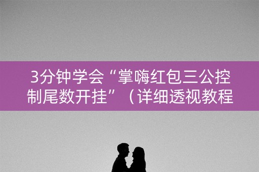 3分钟学会“掌嗨红包三公控制尾数开挂”（详细透视教程）-哔哩哔哩