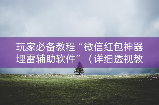 玩家必备教程“微信红包神器埋雷辅助软件”（详细透视教程）-哔哩哔哩
