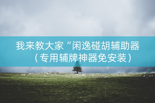 我来教大家“闲逸碰胡辅助器（专用辅牌神器免安装）