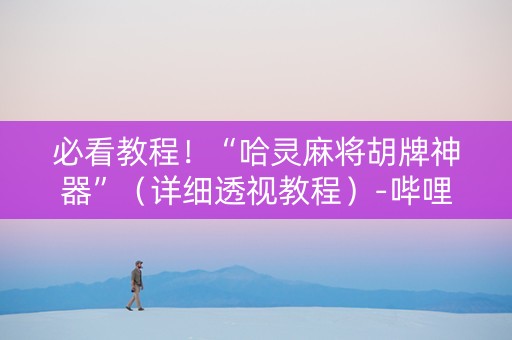 必看教程！“哈灵麻将胡牌神器”（详细透视教程）-哔哩哔哩
