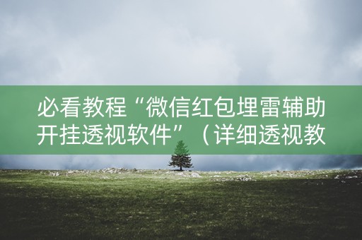 必看教程“微信红包埋雷辅助开挂透视软件”（详细透视教程）-哔哩哔哩