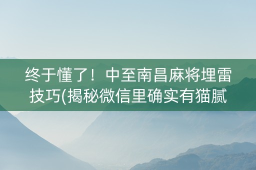 终于懂了！中至南昌麻将埋雷技巧(揭秘微信里确实有猫腻)