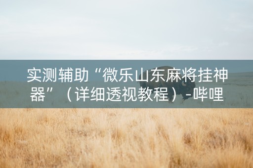 实测辅助“微乐山东麻将挂神器”（详细透视教程）-哔哩哔哩