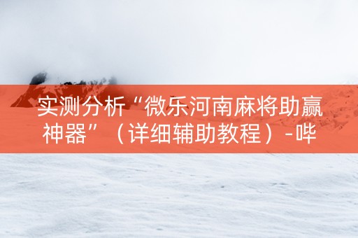 实测分析“微乐河南麻将助赢神器”（详细辅助教程）-哔哩哔哩
