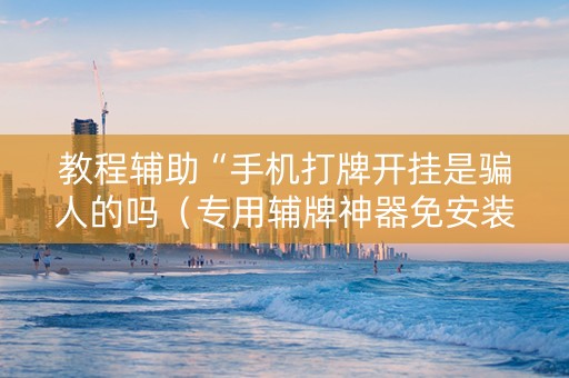 教程辅助“手机打牌开挂是骗人的吗（专用辅牌神器免安装）