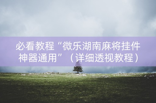 必看教程“微乐湖南麻将挂件神器通用”（详细透视教程）-哔哩哔哩
