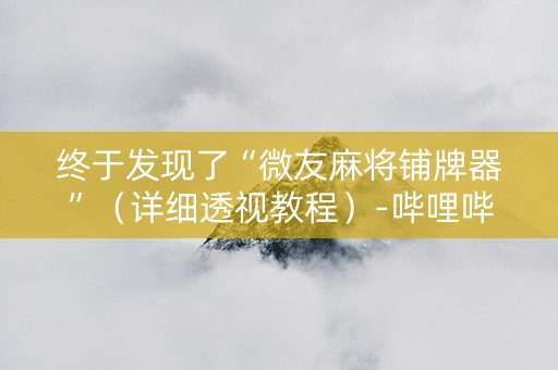 终于发现了“微友麻将铺牌器”（详细透视教程）-哔哩哔哩