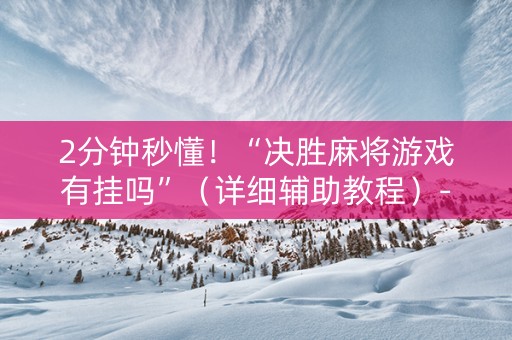 2分钟秒懂！“决胜麻将游戏有挂吗”（详细辅助教程）-哔哩哔哩