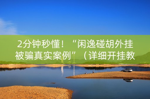 2分钟秒懂！“闲逸碰胡外挂被骗真实案例”（详细开挂教程）-哔哩哔哩
