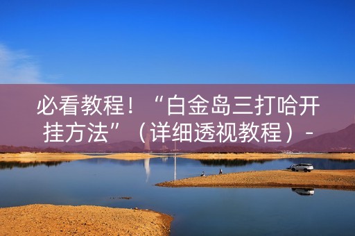必看教程！“白金岛三打哈开挂方法”（详细透视教程）-哔哩哔哩