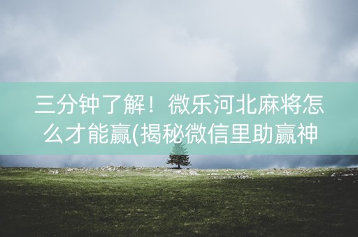 三分钟了解！微乐河北麻将怎么才能赢(揭秘微信里助赢神器)