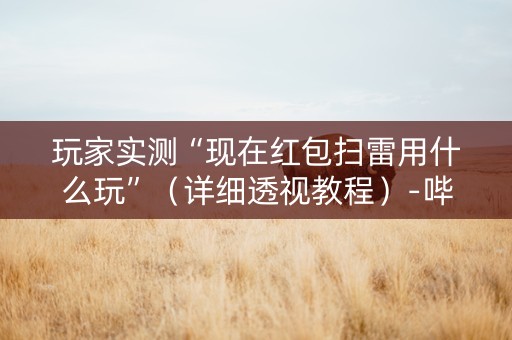 玩家实测“现在红包扫雷用什么玩”（详细透视教程）-哔哩哔哩