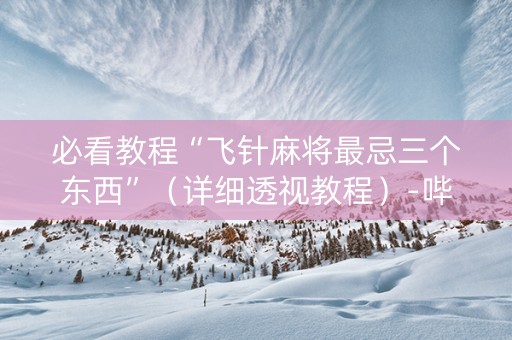 必看教程“飞针麻将最忌三个东西”（详细透视教程）-哔哩哔哩