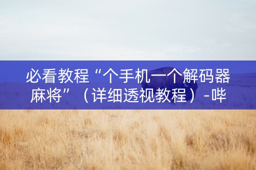 必看教程“个手机一个解码器麻将”（详细透视教程）-哔哩哔哩