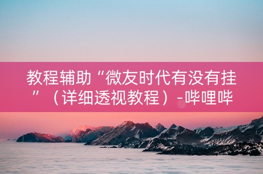 教程辅助“微友时代有没有挂”（详细透视教程）-哔哩哔哩