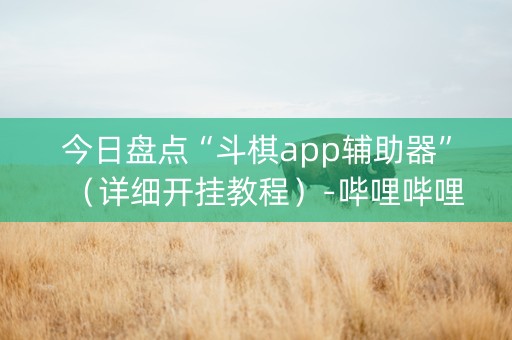 今日盘点“斗棋app辅助器”（详细开挂教程）-哔哩哔哩