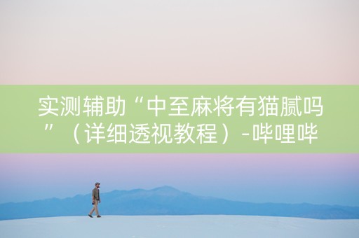 实测辅助“中至麻将有猫腻吗”（详细透视教程）-哔哩哔哩